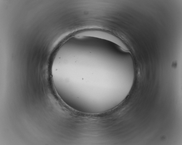 X0000112530676200909071358