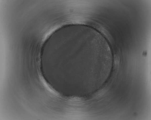 X0000112530677200909071358