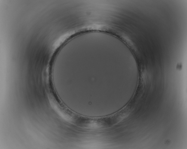 X0000112530678200909071358