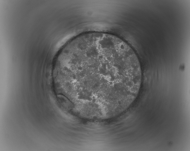 X0000112530679200909071358