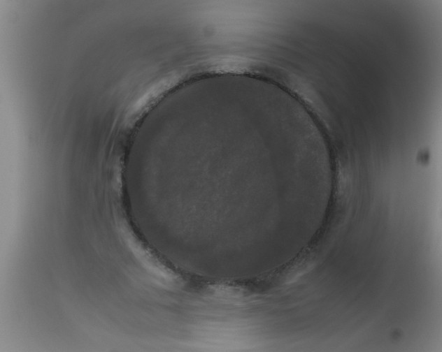 X0000112530681200909071358