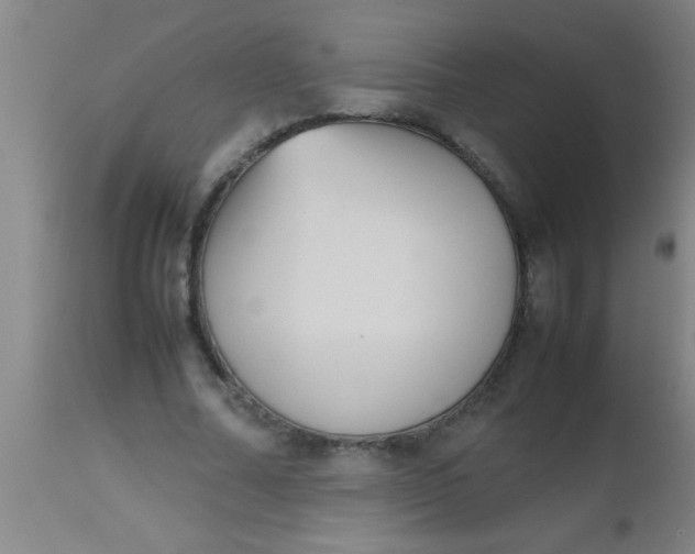 X0000112530682200909071358