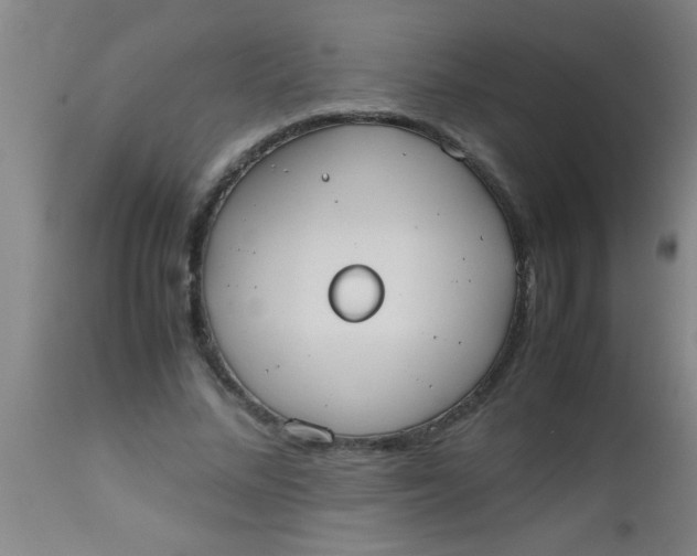 X0000112530684200909071358