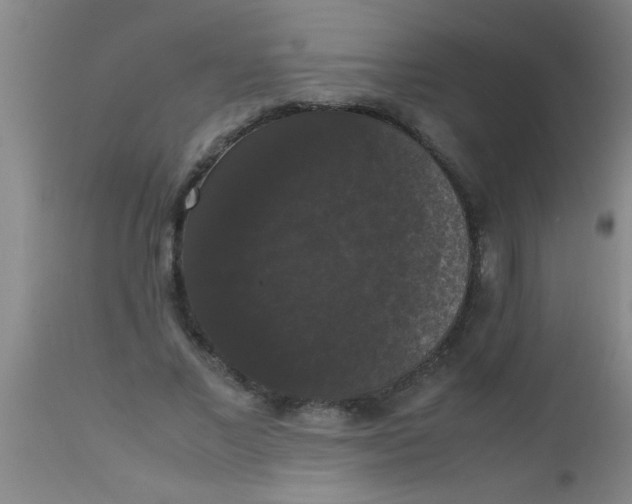 X0000112530685200909071358