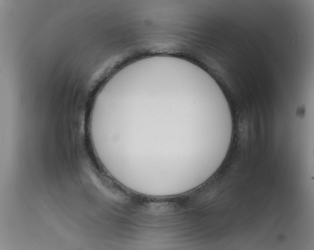 X0000112530686200909071358