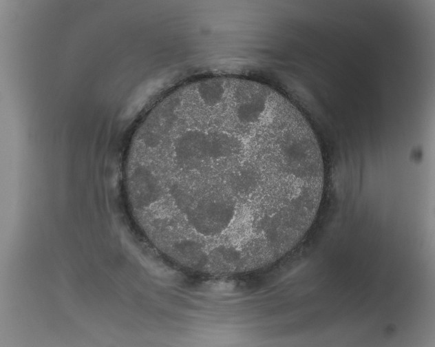 X0000112530687200909071358