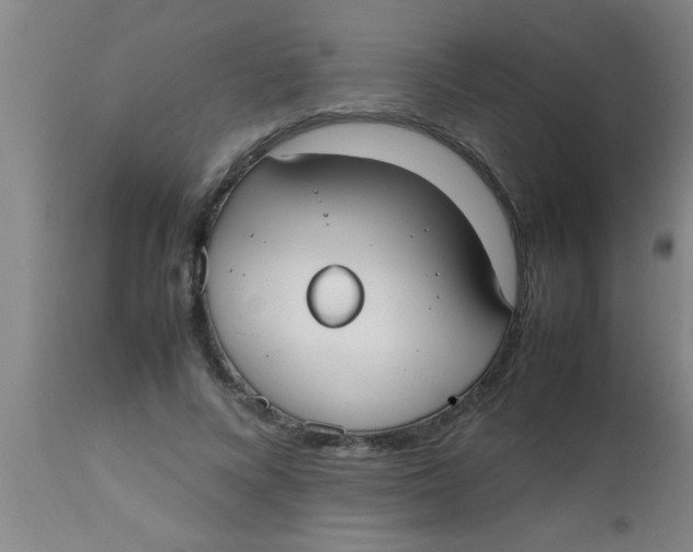 X0000112530688200909071358