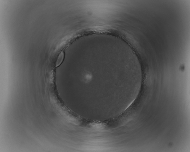 X0000112530689200909071358