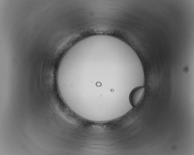 X0000112530690200909071358