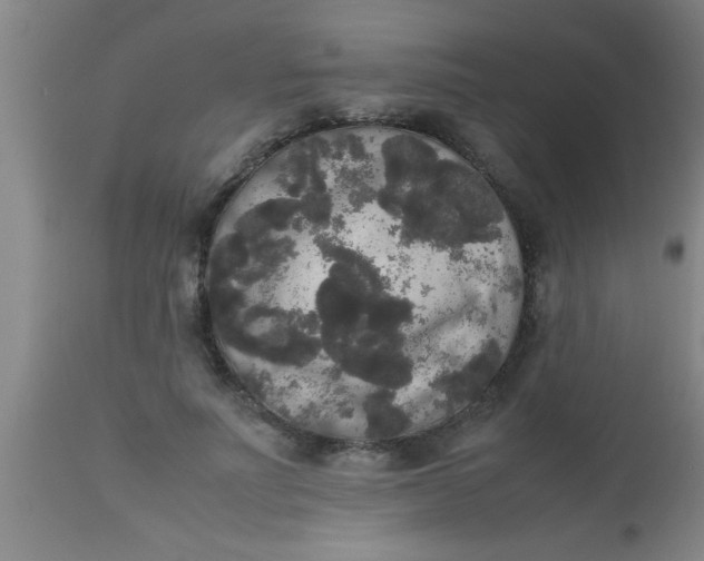 X0000112530691200909071358