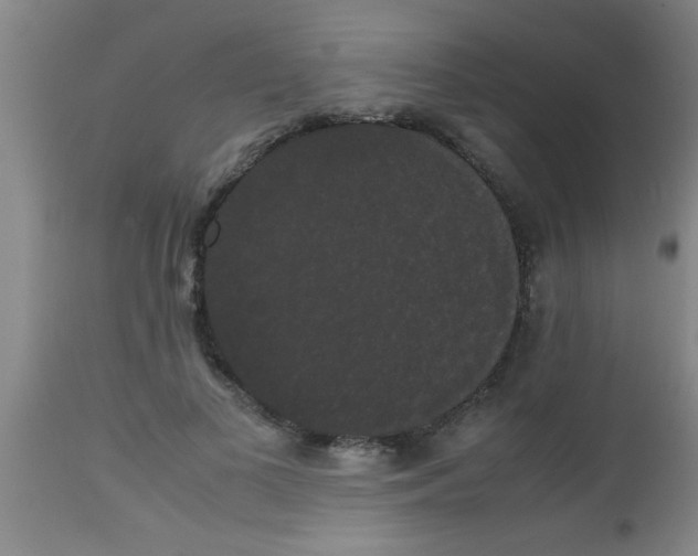 X0000112530693200909071358