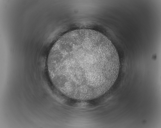 X0000112530695200909071358