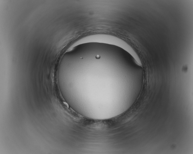 X0000112530696200909071358