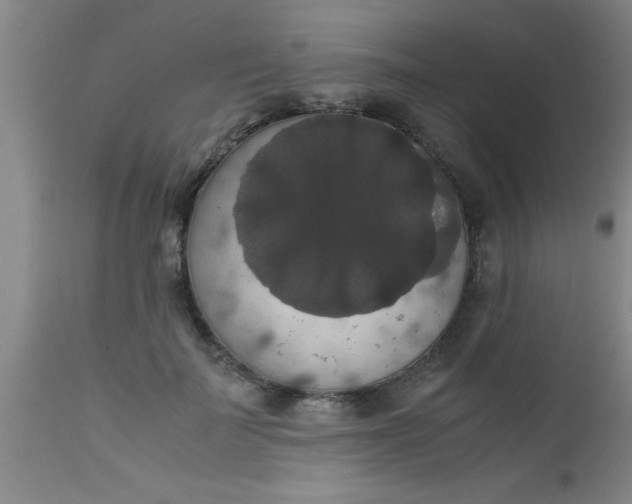 X0000112530699200909071358