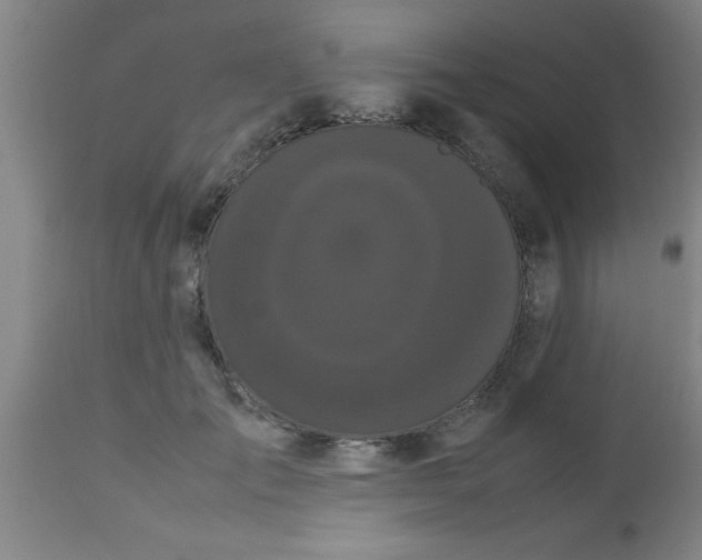 X0000112530701200909071358