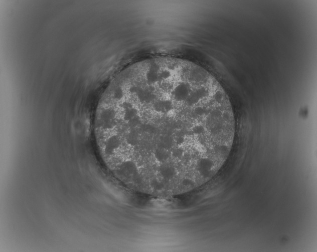 X0000112530703200909071358