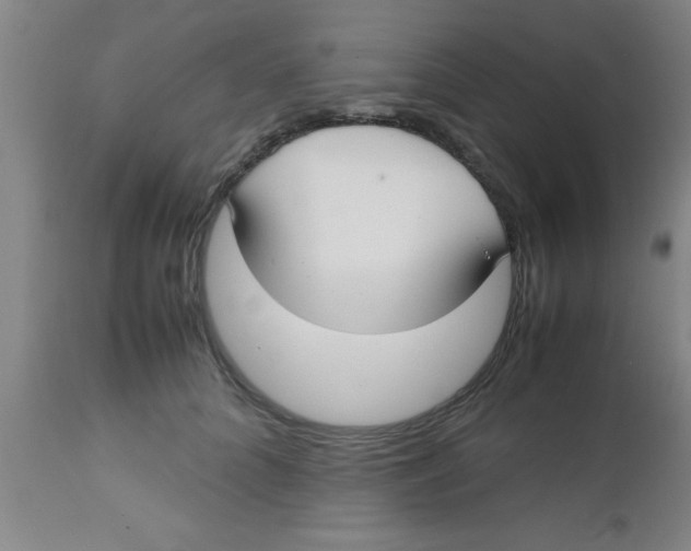 X0000112530704200909071358