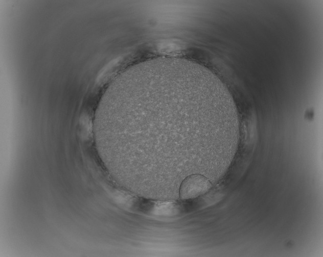 X0000112530705200909071358