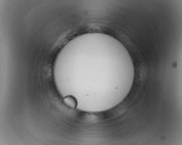 X0000112530706200909071358