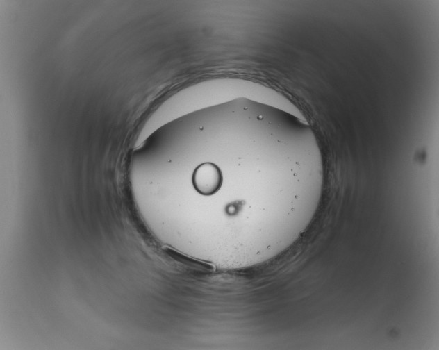 X0000112530708200909071358