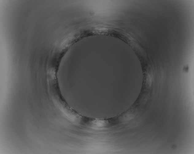 X0000112530711200909071358