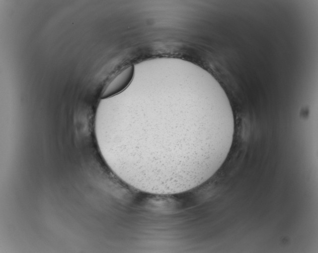 X0000112530712200909071358