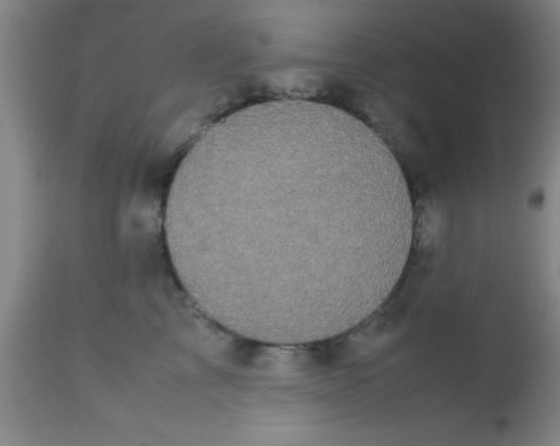 X0000112530713200909071358