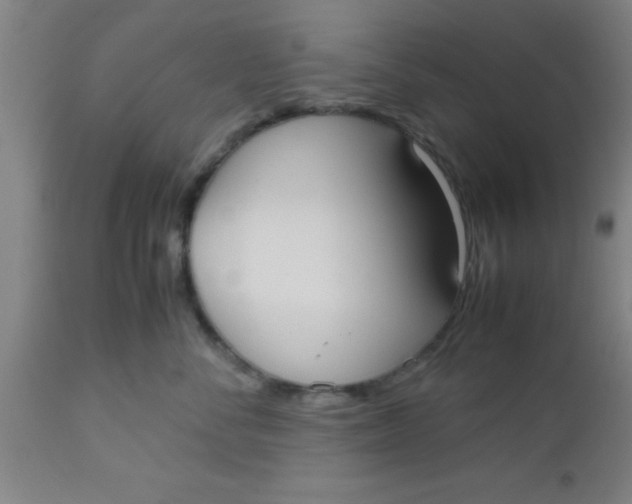 X0000112530716200909071357