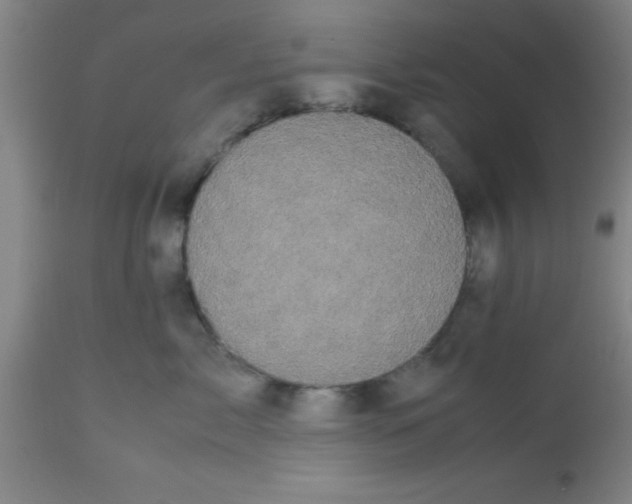 X0000112530717200909071357