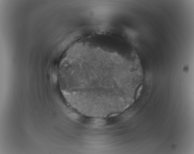 X0000112530719200909071357