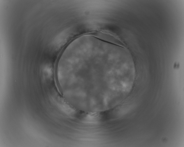 X0000112530720200909071357