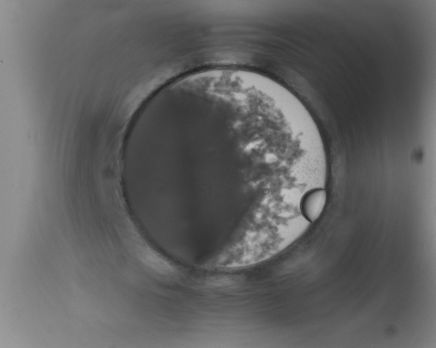 X0000112530721200909071357