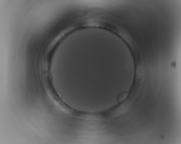 X0000112530722200909071357