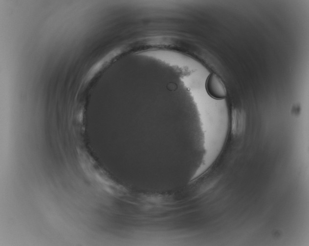 X0000112530723200909071357