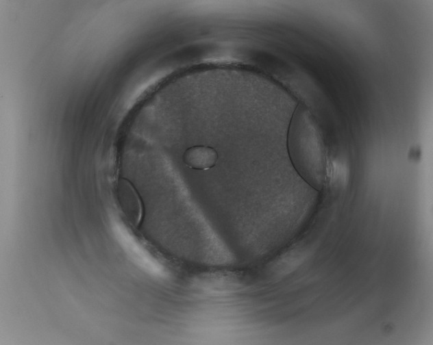 X0000112530724200909071357