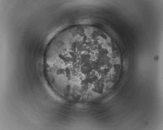 X0000112530725200909071357