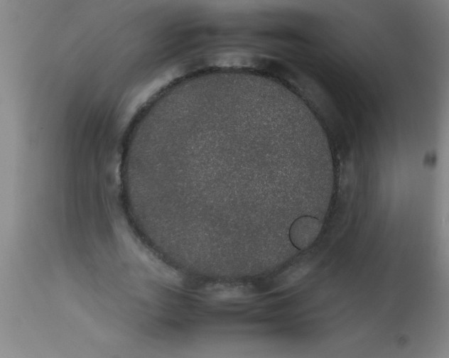 X0000112530727200909071357