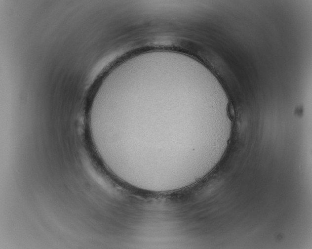 X0000112530728200909071357