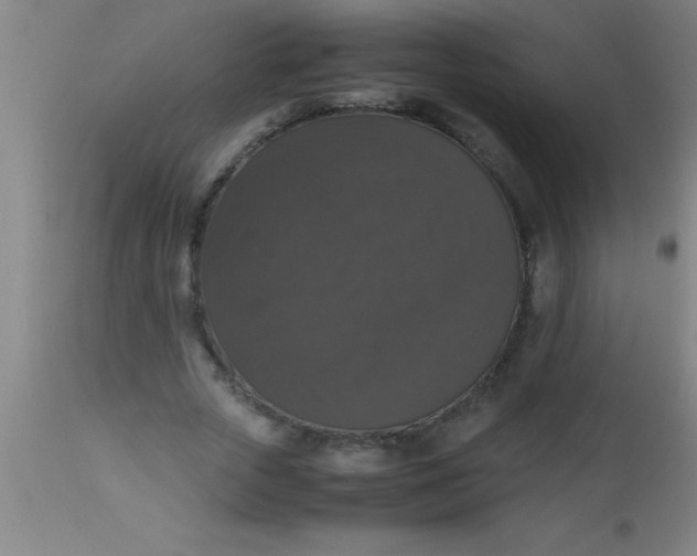 X0000112530729200909071357