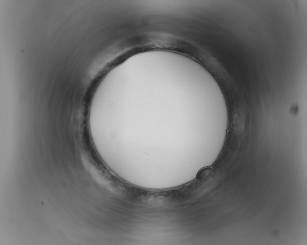 X0000112530730200909071357