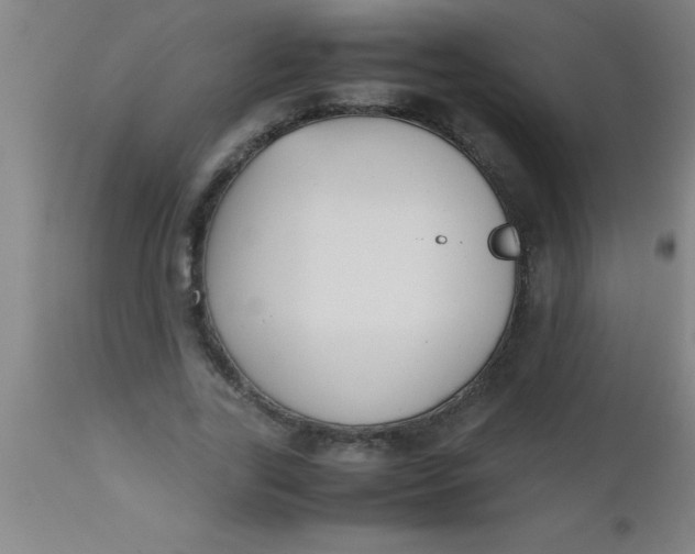 X0000112530731200909071357