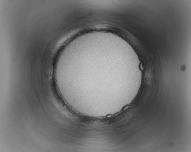 X0000112530732200909071357