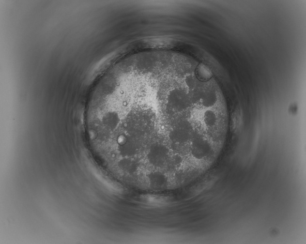 X0000112530733200909071357