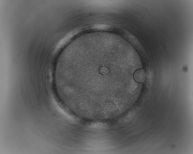 X0000112530734200909071357