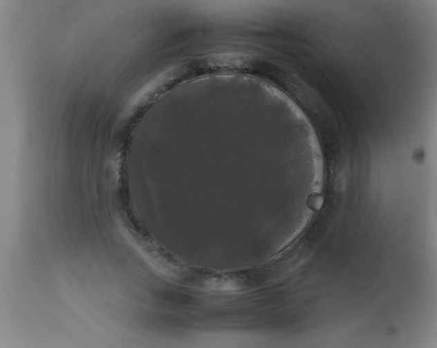 X0000112530735200909071357