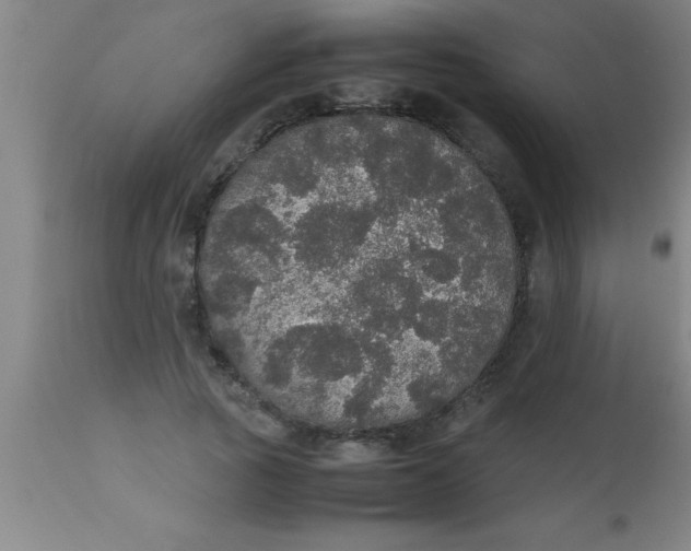 X0000112530737200909071357