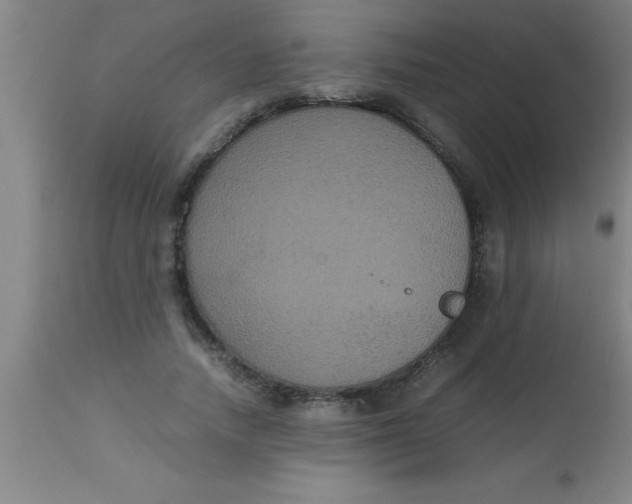 X0000112530738200909071357