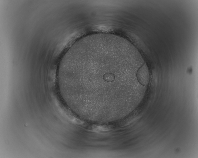 X0000112530739200909071357