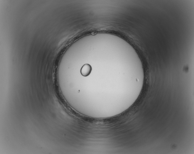 X0000112530740200909071357