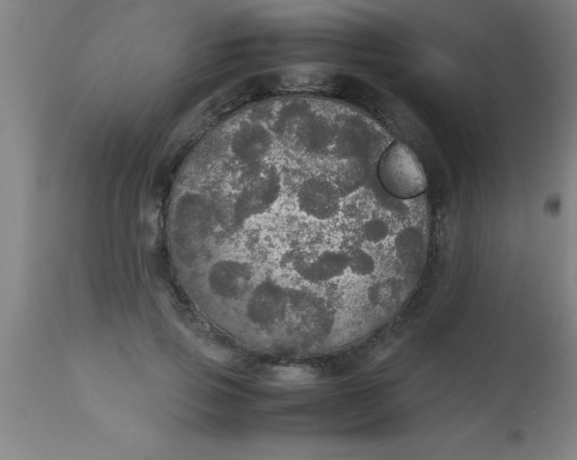 X0000112530741200909071357